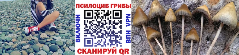 Псилоцибиновые грибы ЛСД  Новохопёрск 