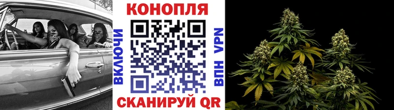 Бошки Шишки семена  Новохопёрск 